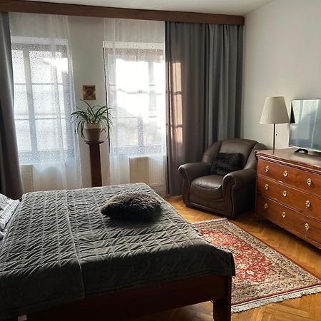 Apartments Dlouha 93 チェスキー クルムロフ エクステリア 写真