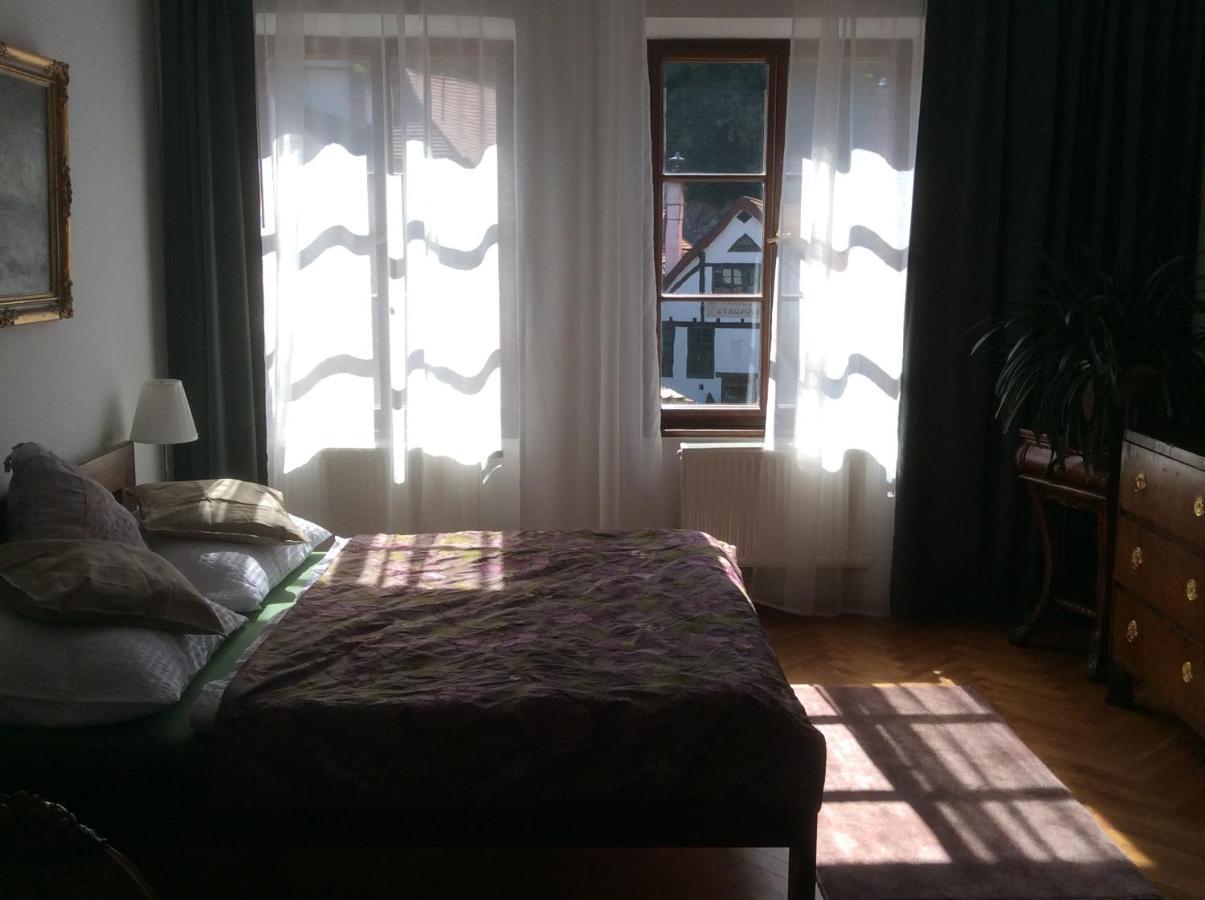 Apartments Dlouha 93 チェスキー クルムロフ エクステリア 写真