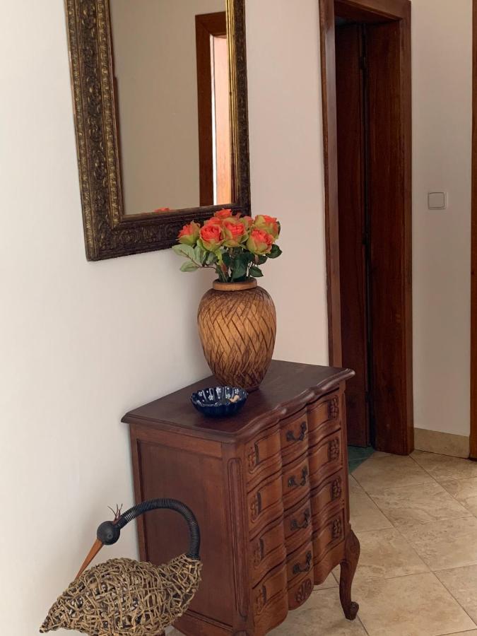 Apartments Dlouha 93 チェスキー クルムロフ エクステリア 写真