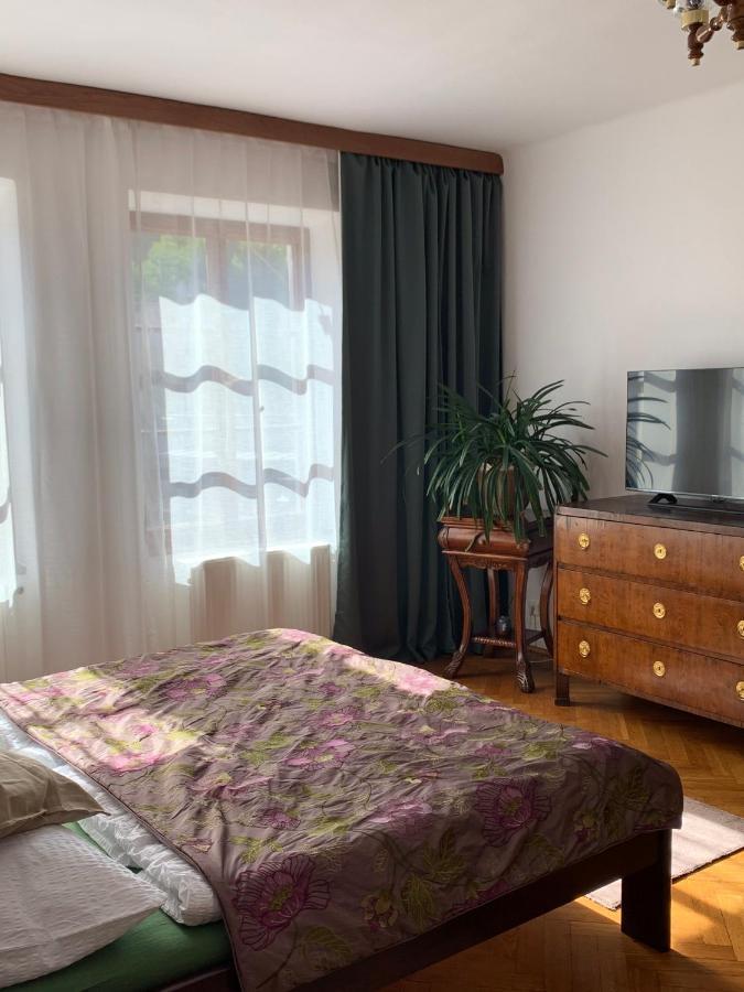 Apartments Dlouha 93 チェスキー クルムロフ エクステリア 写真