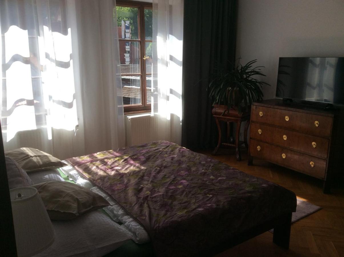 Apartments Dlouha 93 チェスキー クルムロフ エクステリア 写真