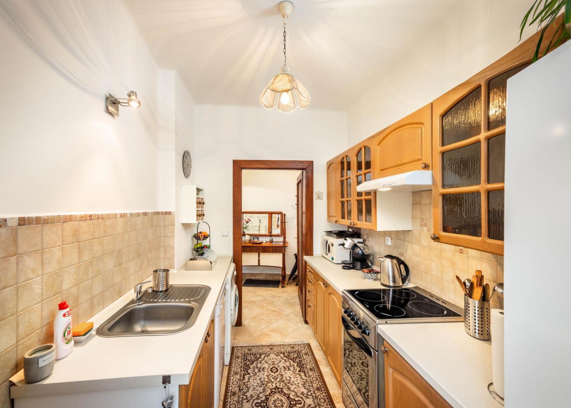 Apartments Dlouha 93 チェスキー クルムロフ エクステリア 写真