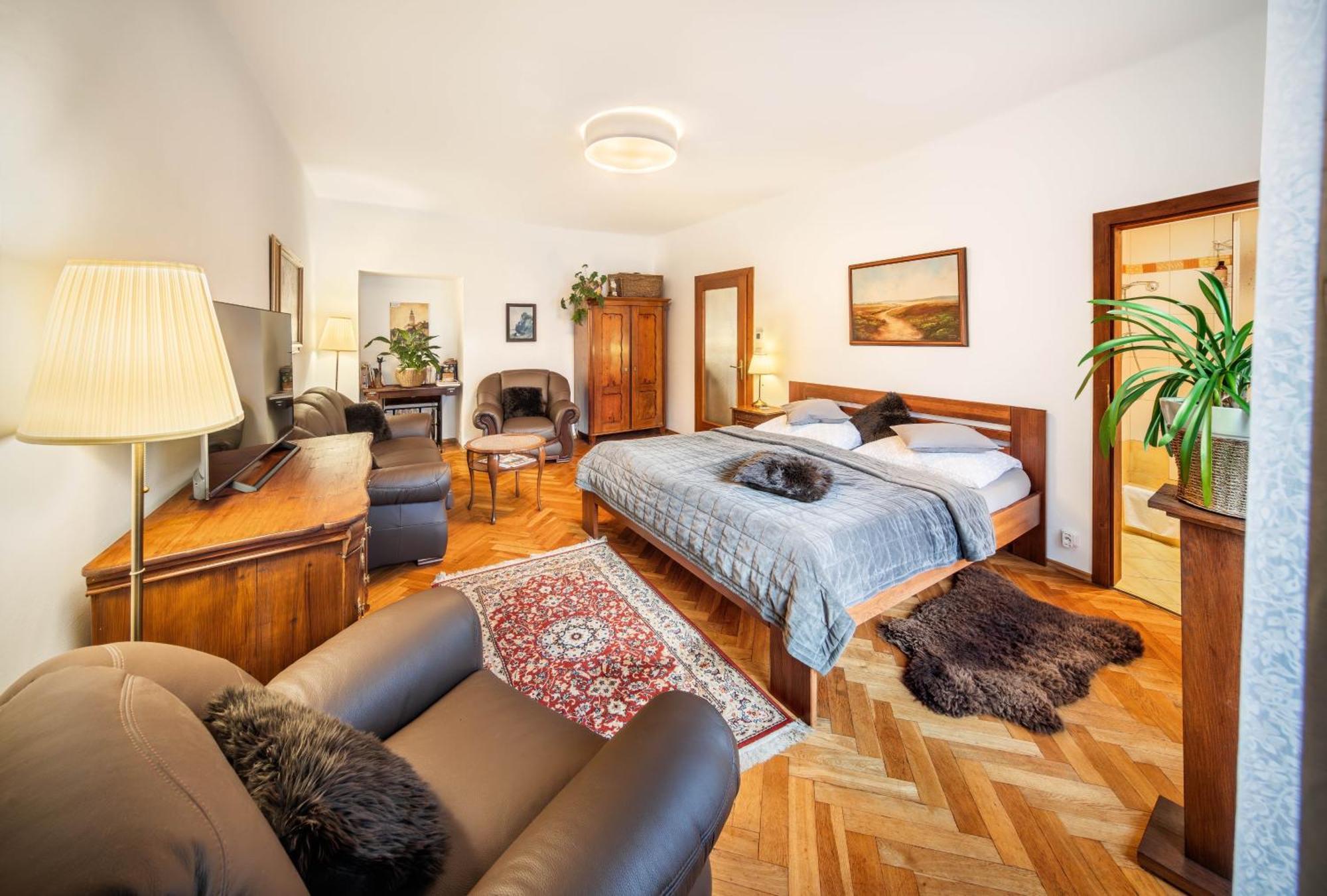 Apartments Dlouha 93 チェスキー クルムロフ エクステリア 写真