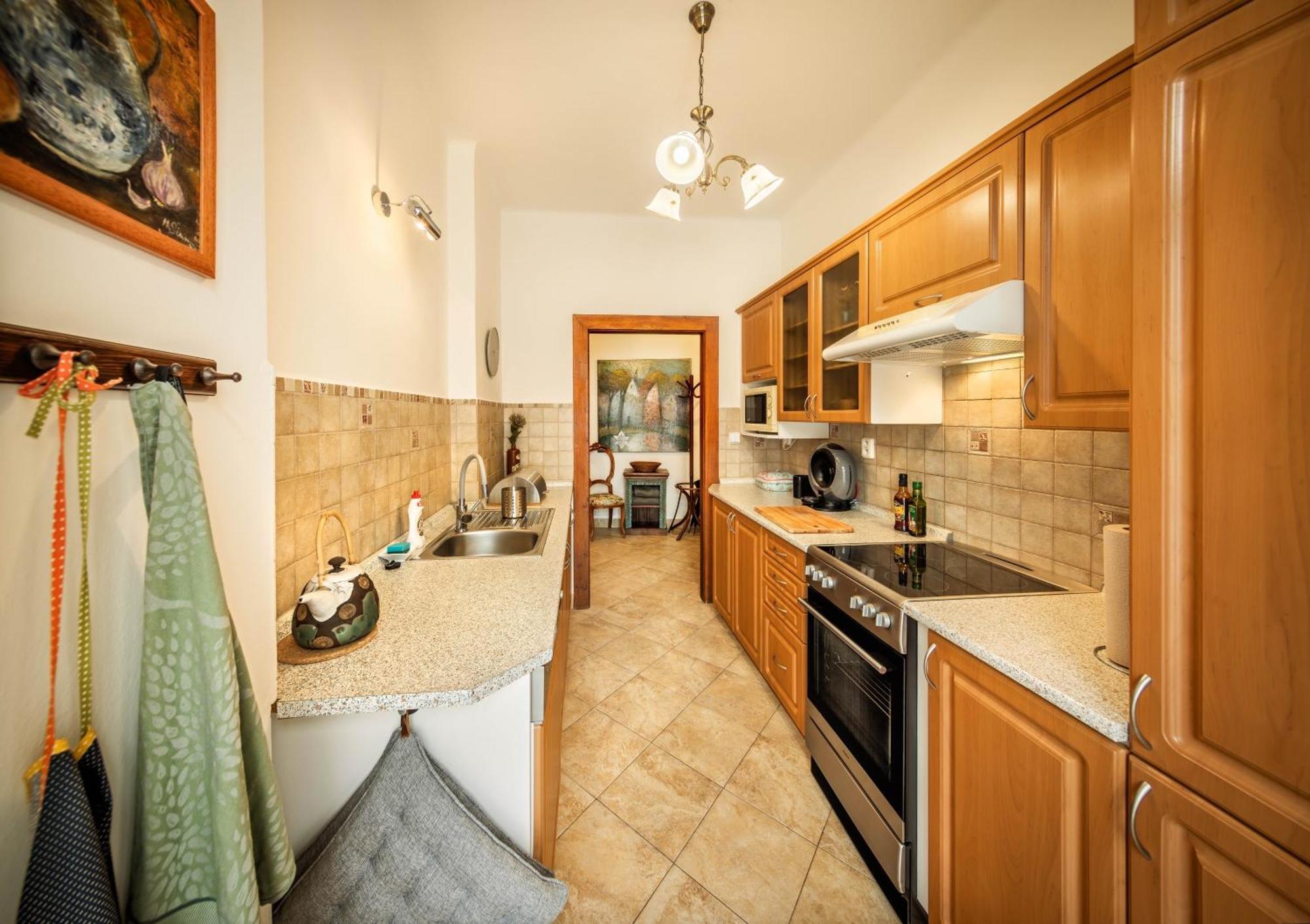 Apartments Dlouha 93 チェスキー クルムロフ エクステリア 写真